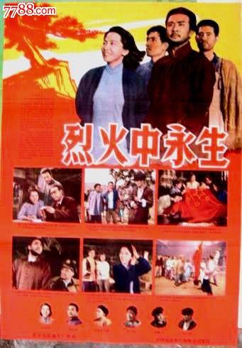 仿制假科罗拉多州 ID